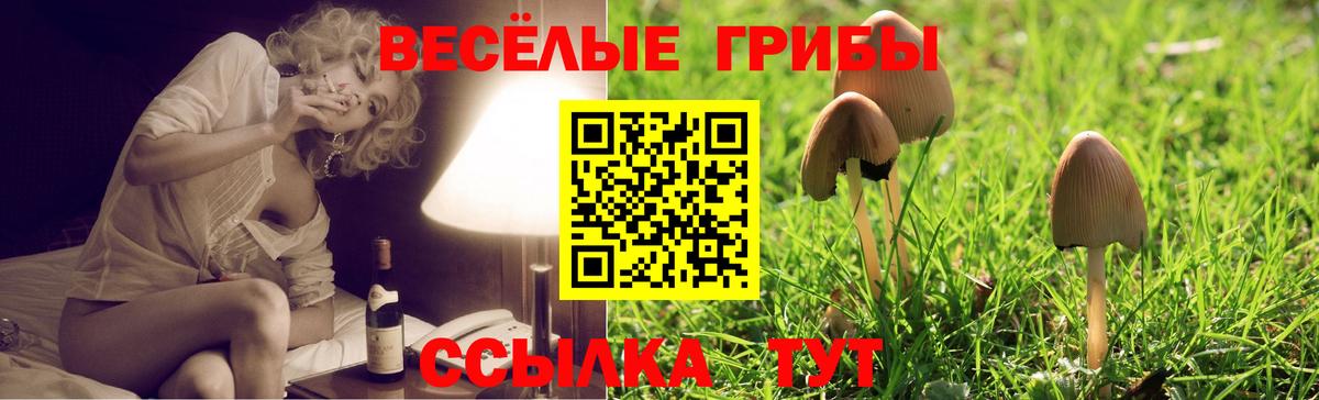 Галлюциногенные грибы GOLDEN TEACHER Сердобск